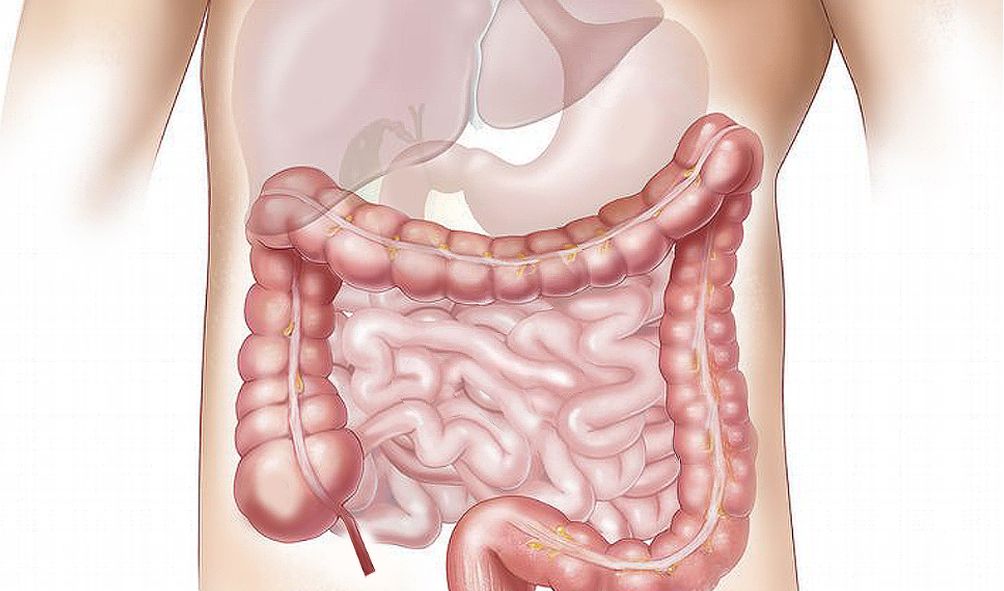 Osteopatia visceral