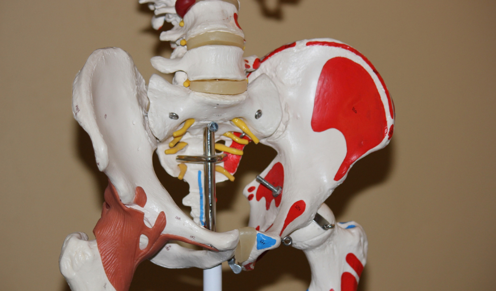 Coccigodinia y osteopatía